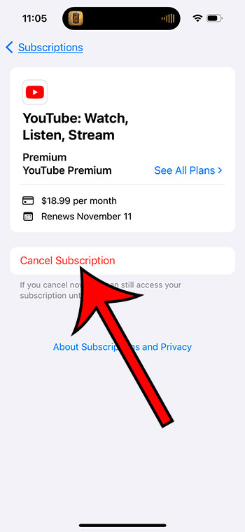 tap on Cancel Subscription