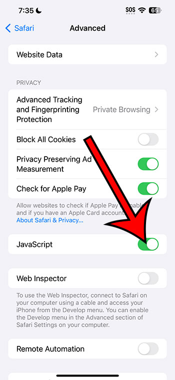 how to enable Javascript on an iPhone 14