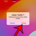 how to permanently delete an iPhone 14 app